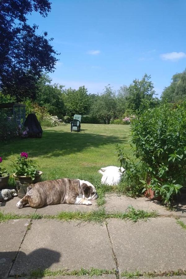 Bed and Breakfast Twenty Skellingthorpe Екстер'єр фото