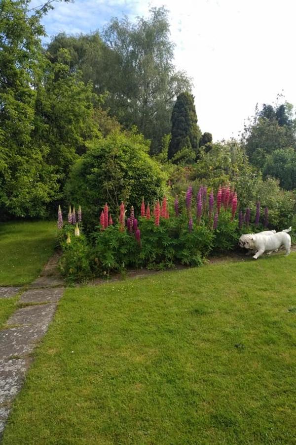 Bed and Breakfast Twenty Skellingthorpe Екстер'єр фото