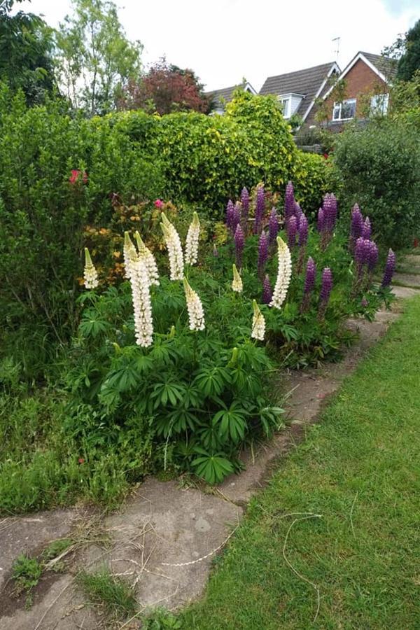 Bed and Breakfast Twenty Skellingthorpe Екстер'єр фото